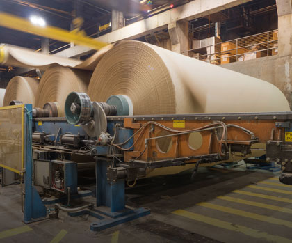 Paper & Pulp
